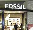 Fossil